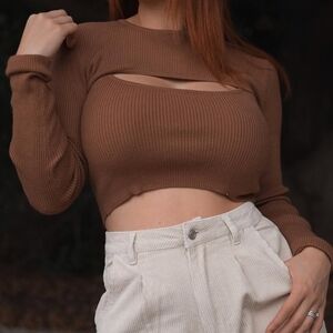 Brown Ribbed Two Piece Long Sleeve Crop Top